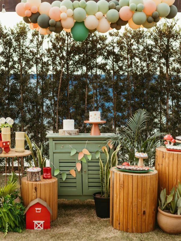 pexels-jonathanborba-28487964 pexels-jonathanborba-28487964