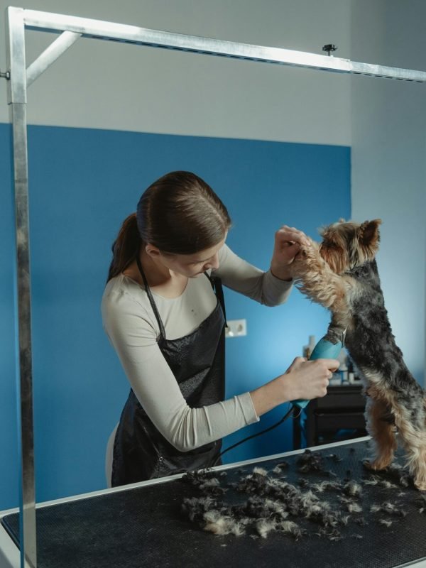 pexels-tima-miroshnichenko-6130995 pexels-tima-miroshnichenko-6130995